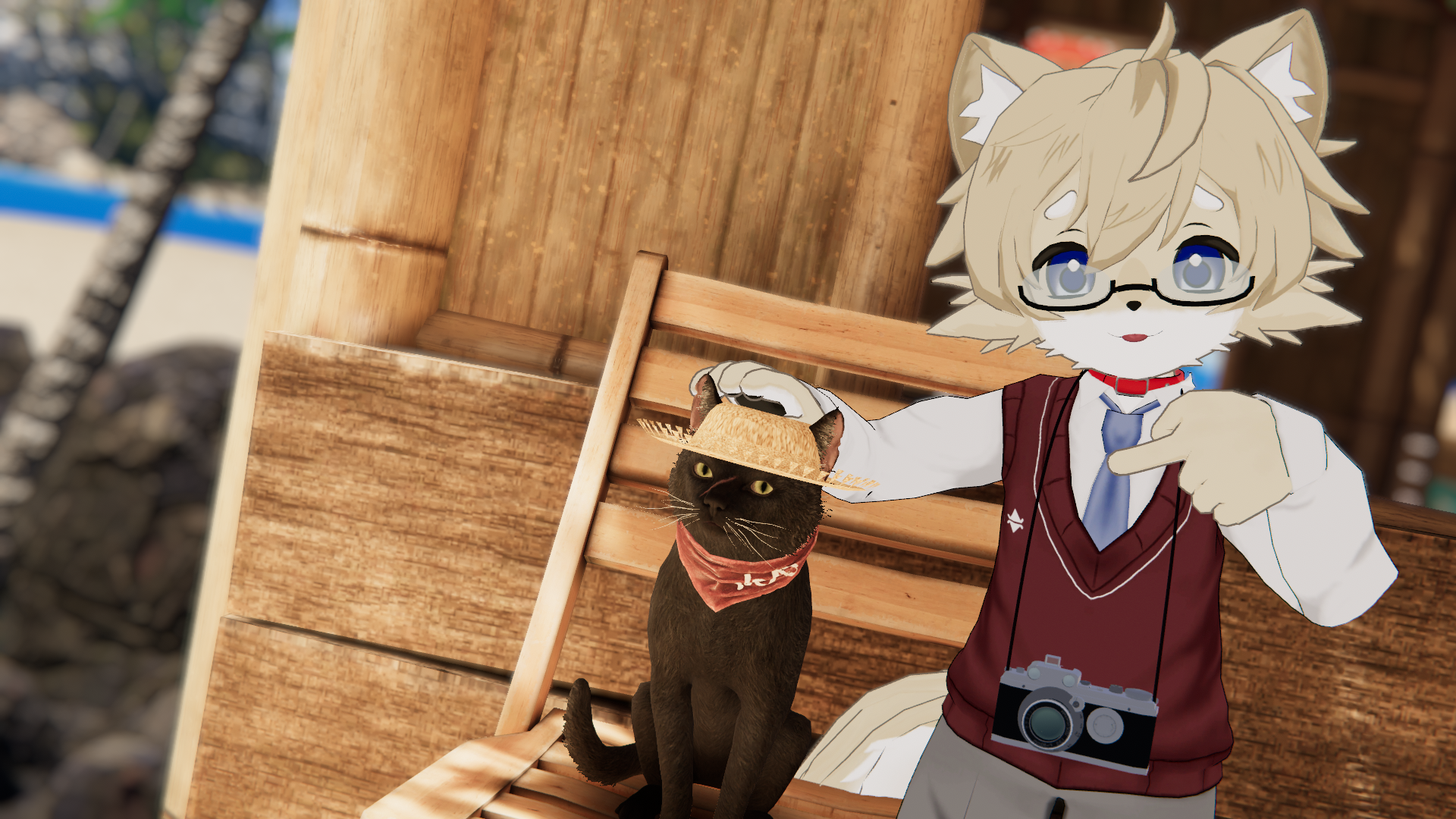猫さん